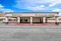 퀄리티 인 하비 - 뉴올리언스