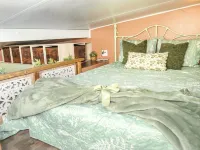 Tiny Cottagecore House in Miami. Walking distance to Hialeah Hospital! Hotels in Hialeah