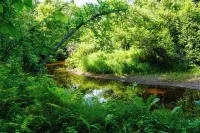Private Cabin - 5 acres - near Hinckley Casino!