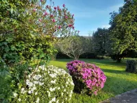 Rías Baixas. Admitimos Mascotas. Wiffi Gratis 300mb. Ideal Familias, Gente Mayor