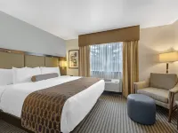 Best Western Vista Inn Hotels in Chaffee County