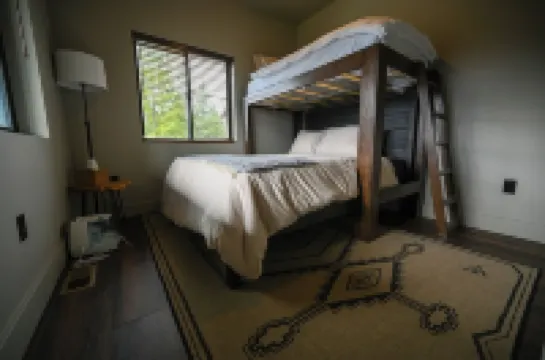 Modern Mountain Haus - 3-bedroom plus loft in fabulous Packwood with WIFI, AC