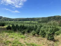 Gezellig Gerenoveerd Verblijf Cacele "La Croisette" in Prachtige Ardennen!