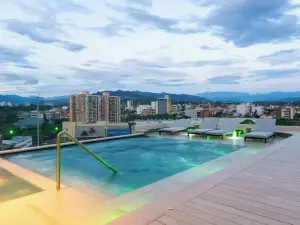 파란다 컬렉션 쿠쿠타