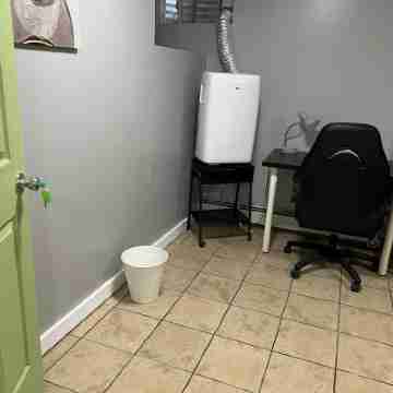 Ample Studio 305 Others