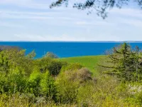 "Irek" - 500m from the Sea