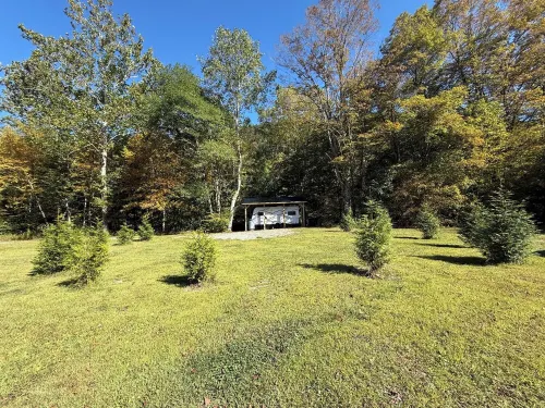 Creekside Camper & Mountain Hiking! Hotels in Randolph County