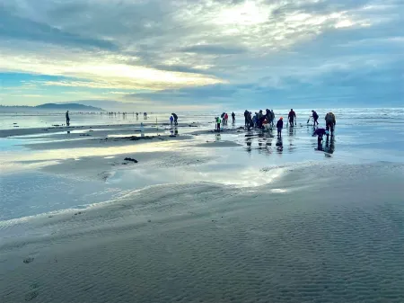 Oceanfront Designer Retreat: 2 Masters, King Bed!