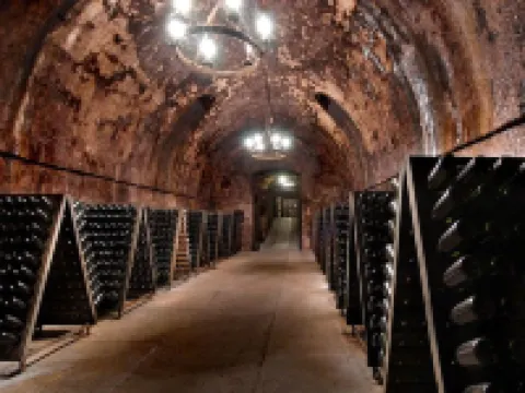 Eco-Villa in Wine Country