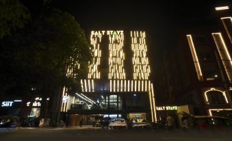 Saltstayz Premier - Naraina, Central Delhi