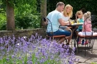 Luxury Villa with Fireplace Near Reservoir in Nordeifel Hotels in Dahlem