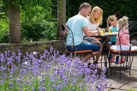 Luxury Villa with Fireplace Near Reservoir in Nordeifel