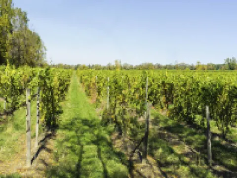 Barrister's Bed & Breakfast Hotels in Seneca County