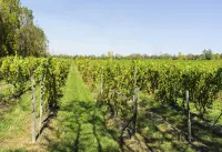 Barrister's Bed & Breakfast Hotels in Seneca County