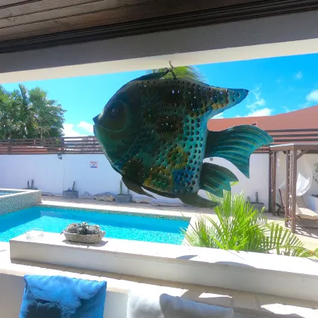 Aruba Lagunita