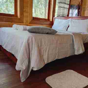 Orellia cabana Rooms