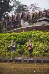 Anantara Golden Triangle Elephant Camp & Resort