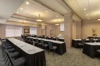 Hilton Garden Inn Indianapolis Downtown - spa