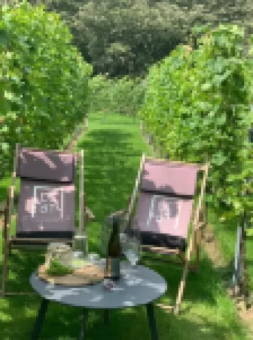 ชีวิตมีสิ่งสวยงาม โรงแรมใน