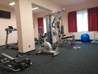 Hotel Vír - Gym
