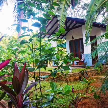 Danu Resort