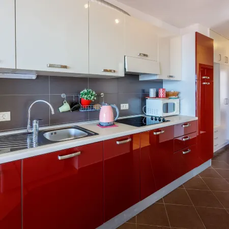 Apartments Robic