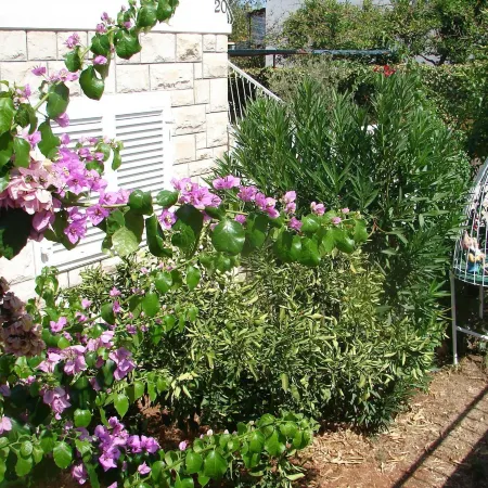 Apartment Slavica
