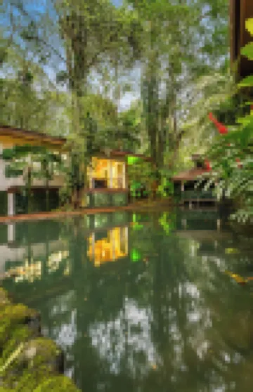 Hotel Boutique Casa Del Rio Hotels in 