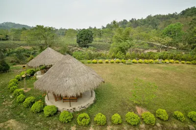 Mandu the Escape Hotel di 