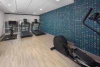 La Quinta Inn & Suites by Wyndham Asheville Downtown - Gym