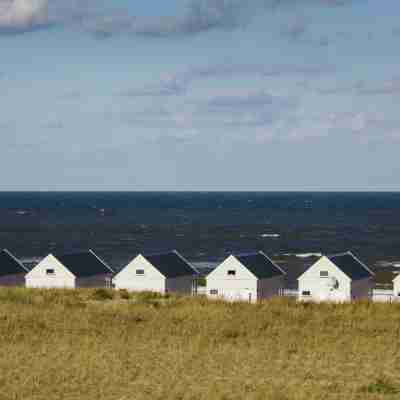 Apartment in Katwijk near the Beach Hotel Exterior
