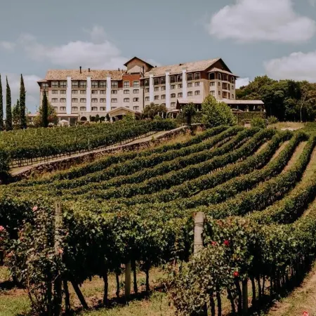 Spa do Vinho Condomínio Vitivinícola