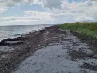 6 Person Holiday Home in Læsø-by Traum - Wifi