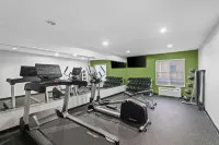 Spark by Hilton Killeen - Wifi