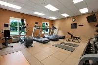 Homewood Suites by Hilton Decatur-Forsyth - Træningscentre