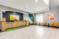 Spark by Hilton La Grange - Haustierfreundliche