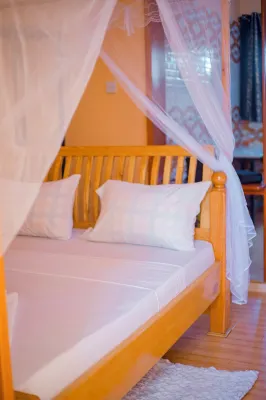 Antelope homestay - Wifi