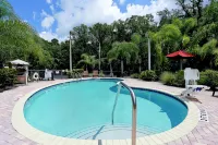 Hampton Inn & Suites Tampa-Wesley Chapel - Pool