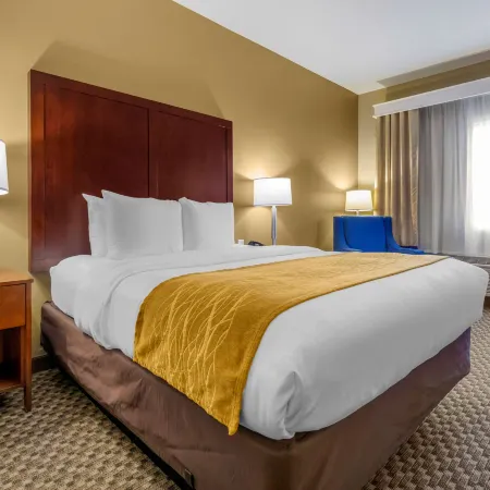 Comfort Inn Auburn - Seattle