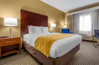 Comfort Inn Auburn - Seattle Hotels in Maple Valley