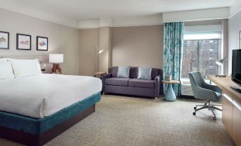 Hilton Garden Inn Atlanta-Buckhead