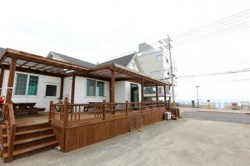 Dancing Whale Pension