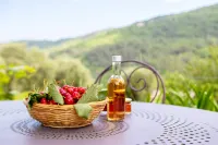 To Seize! Holiday Rental la Maison de Noelie Rdj 300m River / 800m Village - Homestays