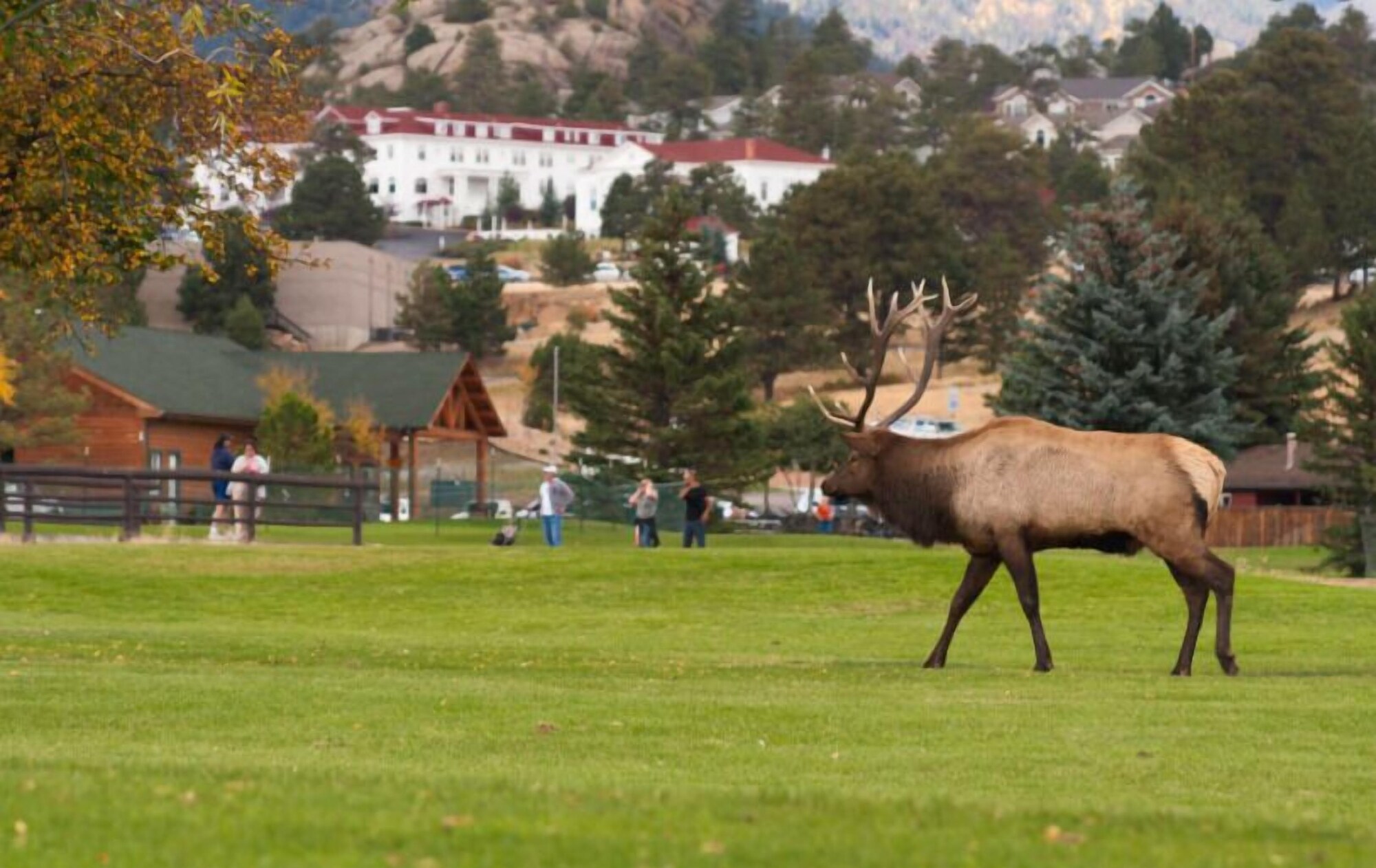 Alpine Trail Ridge Inn