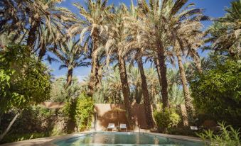 Guest House in Oasis Amazrou Zagora South Est Maro