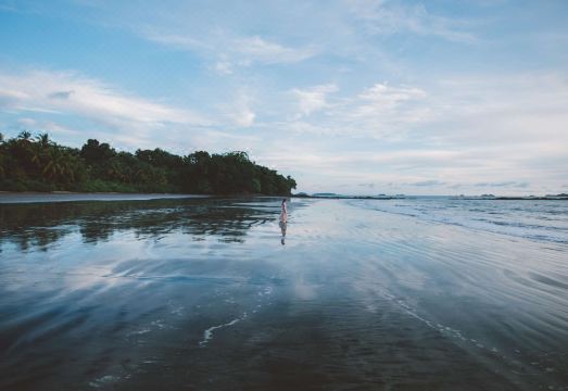 The Resort at Isla Palenque Member of the Cayuga CollectionHotel Overview