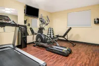 Quality Inn & Suites Albany Corvallis - Gym