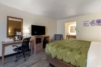 Quality Inn Saint Petersburg North-Tampa Bay