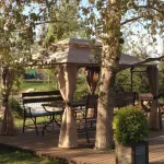 Sheremetyevo Hotel Hotels near Renus