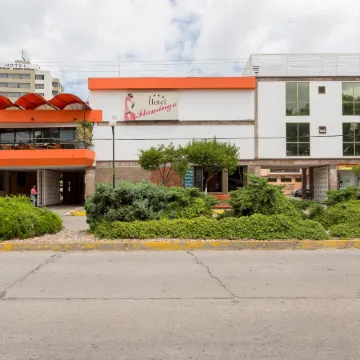 Hotel Flamingo Irapuato